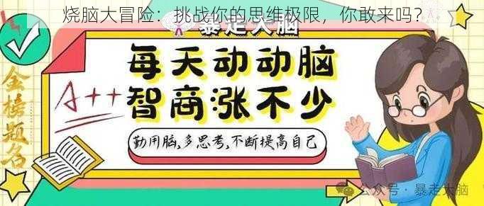 烧脑大冒险：挑战你的思维极限，你敢来吗？