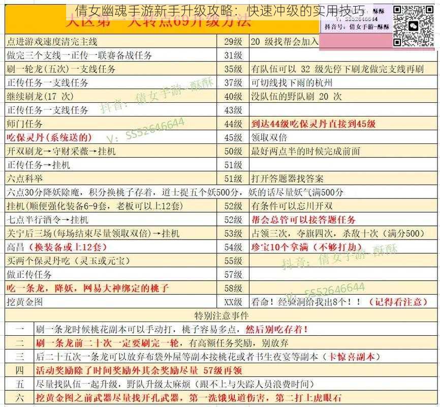 倩女幽魂手游新手升级攻略：快速冲级的实用技巧