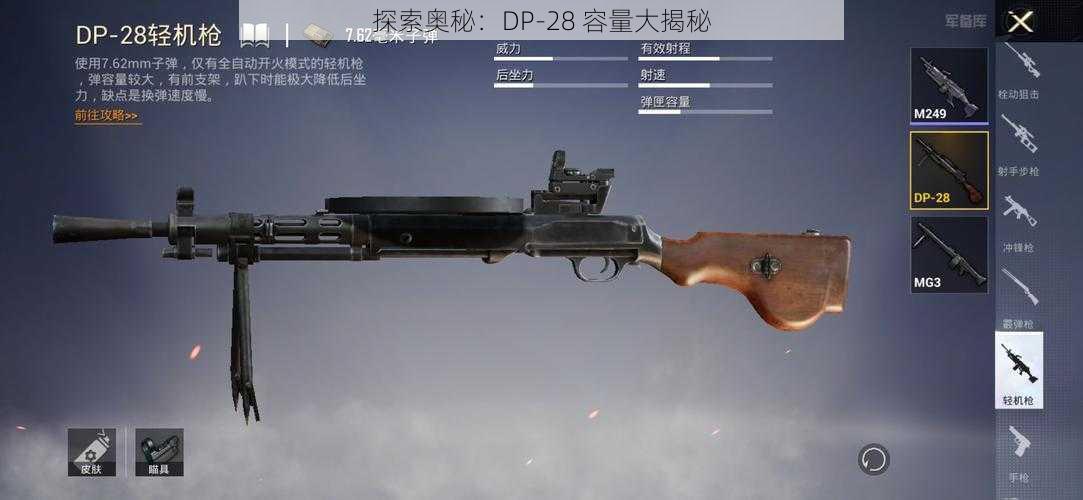 探索奥秘：DP-28 容量大揭秘