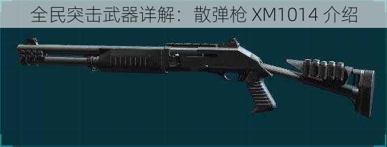 全民突击武器详解：散弹枪 XM1014 介绍